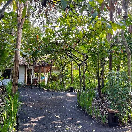 El Campito Lodge Ayampe Eksteriør billede