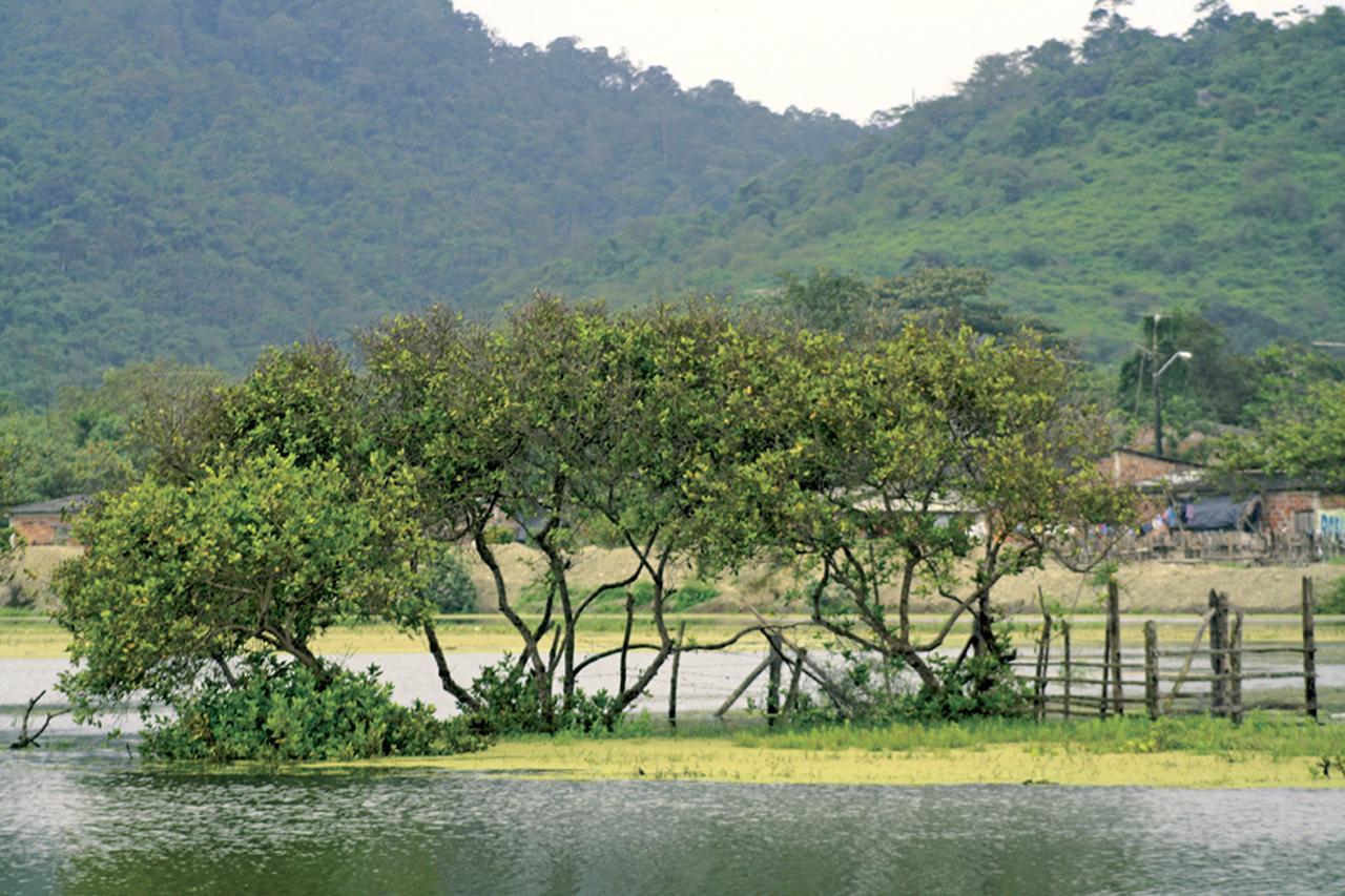 El Campito Lodge Ayampe Eksteriør billede