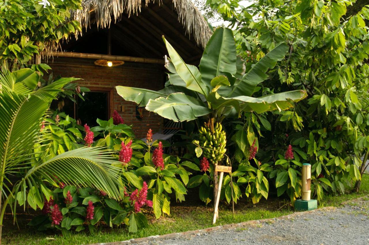 El Campito Lodge Ayampe Eksteriør billede